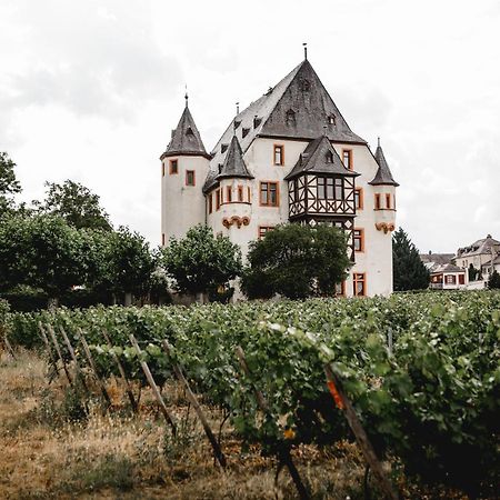 Schloss Schoenborn Geisenheim Exteriör bild