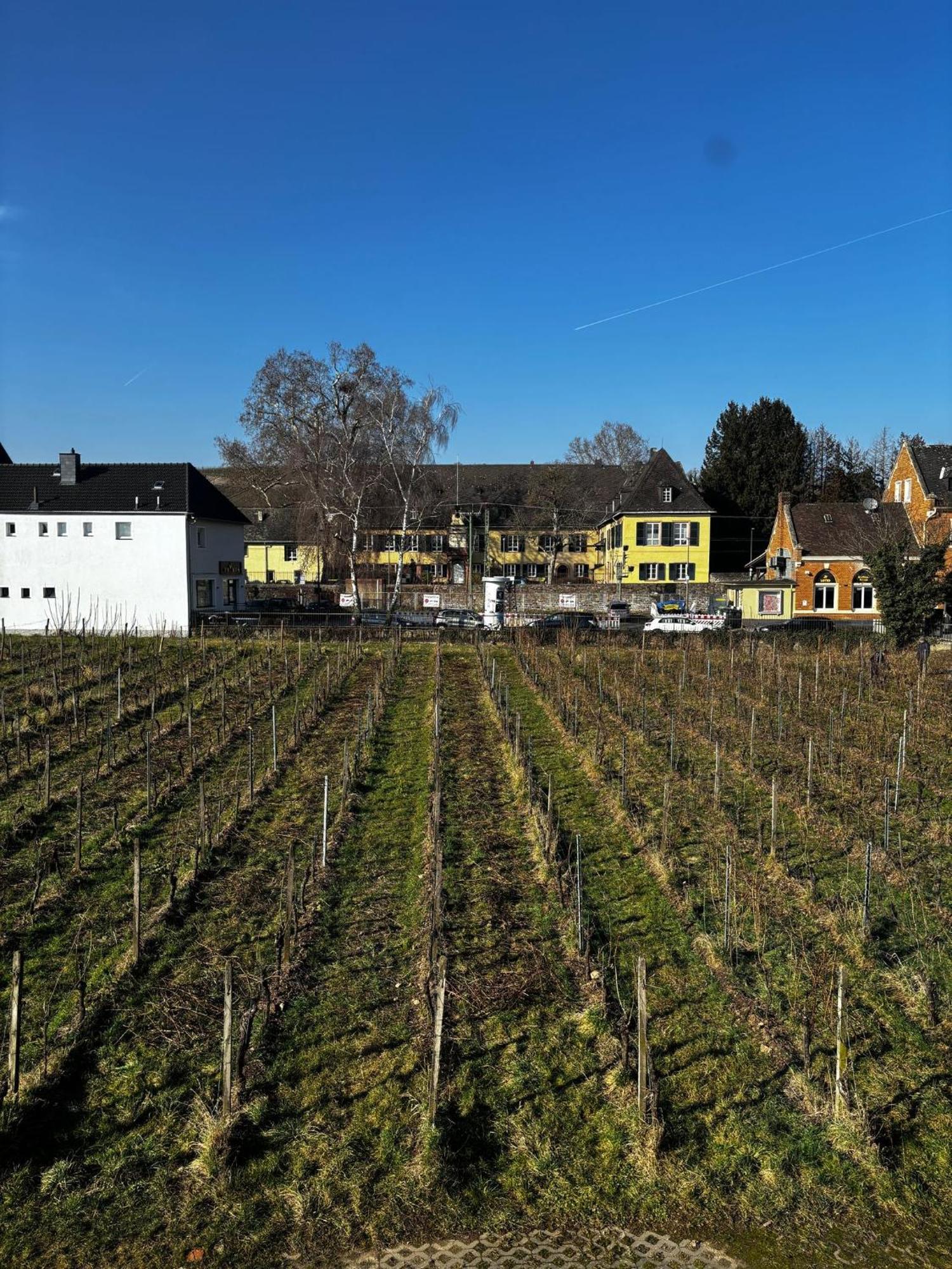 Schloss Schoenborn Geisenheim Exteriör bild