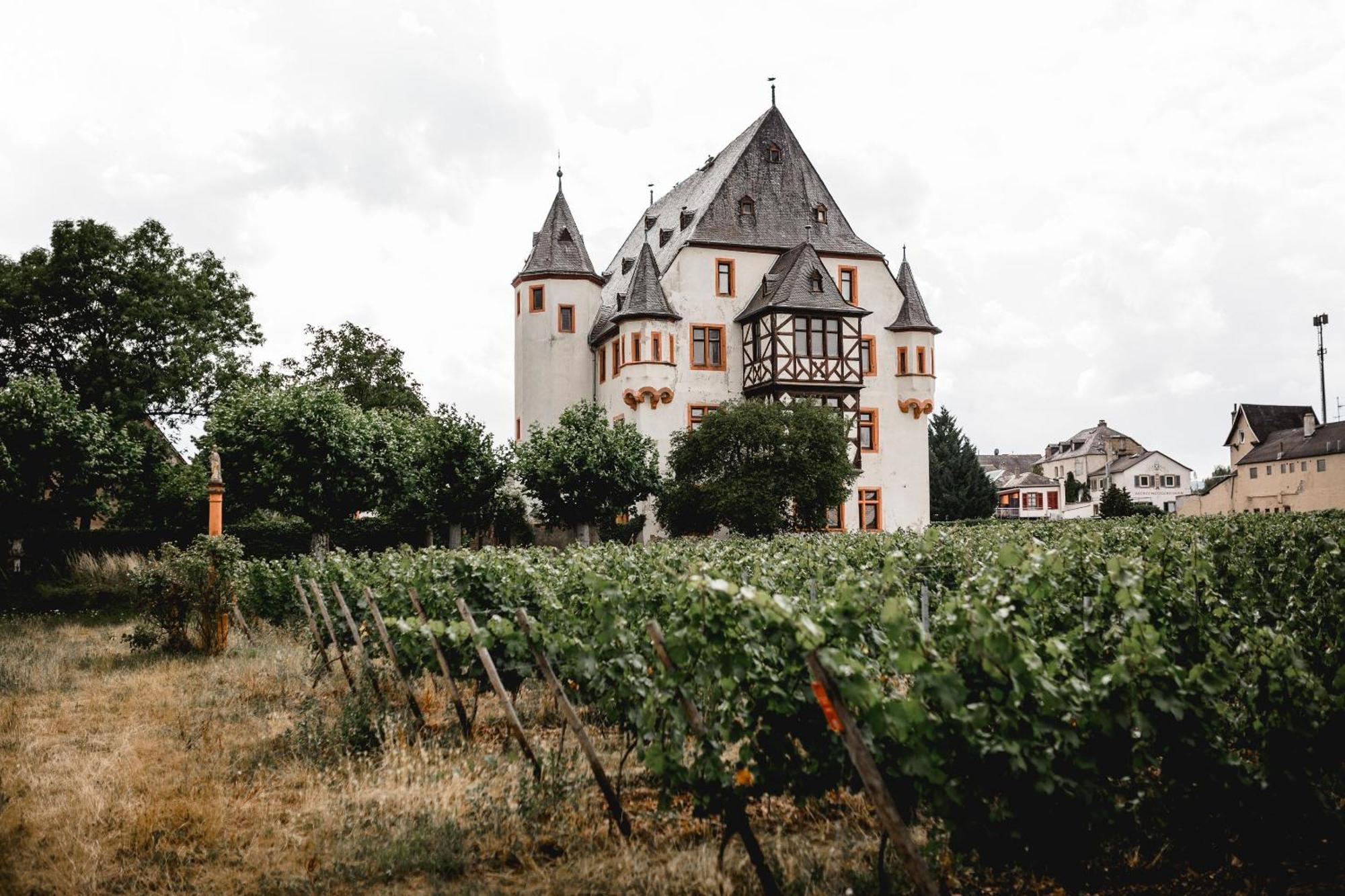 Schloss Schoenborn Geisenheim Exteriör bild